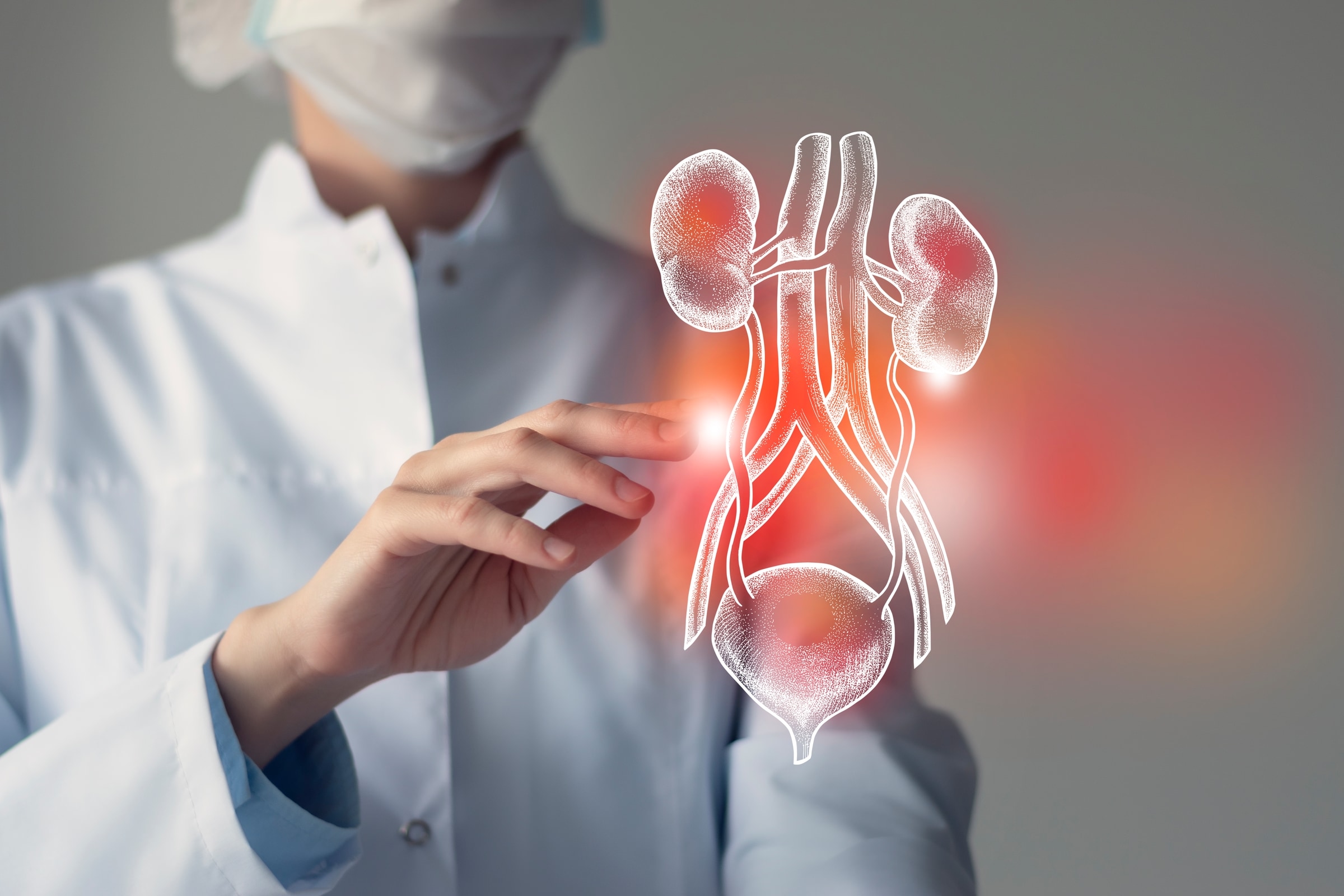 A clinician reaching towards a projected anatomical illustration of the kidneys, ureters and bladder
